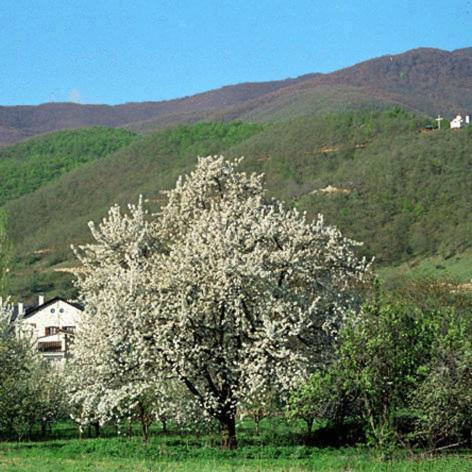 Villa Kastanodasos Emporio  Eksteriør bilde